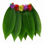JEKANEL Ti Leaf Hula Skirt and Flower Leis