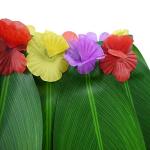 JEKANEL Ti Leaf Hula Skirt and Flower Leis
