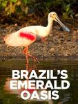 Emerald Dream: Brazilian Luxury Collection