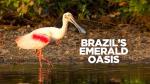 Emerald Dream: Brazilian Luxury Collection