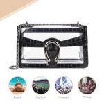 Joryin Clear Stadium Crossbody Bag with Chain Strap