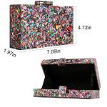 Multicolor Acrylic Geometric Box Clutch Handbag