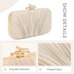 Freie Liebe Pleated Evening Clutch with Chain