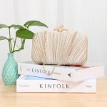 Freie Liebe Pleated Evening Clutch with Chain