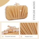 Freie Liebe Clutch Purses for Women Evening Bag Pleated Clutch Bag with Chain for Wedding Party