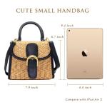 Boshiho Retro Black Straw Woven Crossbody Bag