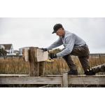 DEWALT 20V MAX XR Cordless Impact Driver