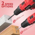 PULITUO 20V Cordless Drill with 2 Batteries