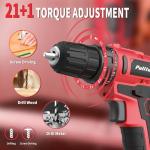 PULITUO 20V Cordless Drill with 2 Batteries