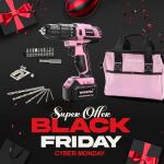 WORKPRO Pink 20V Cordless Drill Driver Set