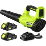 Cordless Electric Leaf Blower with 2 Batteries
