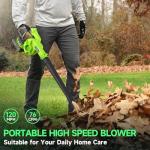 20V Cordless Leaf Blower with Battery and Charger