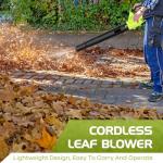 Cordless Electric Leaf Blower with 2 Batteries
