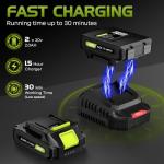 Cordless Electric Leaf Blower with 2 Batteries