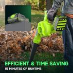 20V Cordless Leaf Blower with Battery and Charger