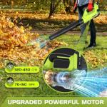 Cordless Electric Leaf Blower with 2 Batteries