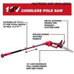 Cordless 10-Inch Pole Saw & Chainsaw Combo