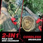 Cordless 10-Inch Pole Saw & Chainsaw Combo
