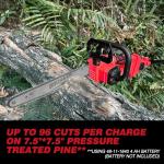 Cordless 10-Inch Pole Saw & Chainsaw Combo