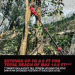 Cordless 10-Inch Pole Saw & Chainsaw Combo