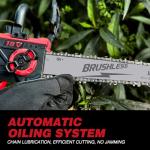 Cordless 10-Inch Pole Saw & Chainsaw Combo