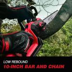Cordless 10-Inch Pole Saw & Chainsaw Combo
