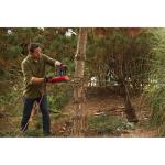 CRAFTSMAN 16-Inch Electric Chainsaw, 12 Amp Motor