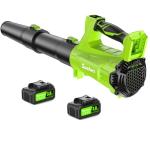 Cordless Electric Leaf Blower with 2 Batteries