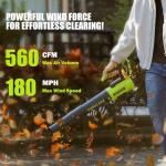 Cordless Leaf Blower with 2 Batteries and Charger