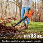 Leisch Life 21V Cordless Leaf Blower with Battery