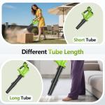 Cordless Electric Leaf Blower with 2 Batteries