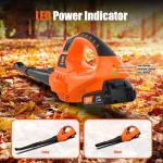 Leisch Life 21V Cordless Leaf Blower with Battery