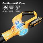 Cordless 21V Leaf Blower with 2 Batteries