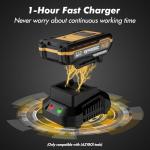 Cordless 21V Leaf Blower with 2 Batteries