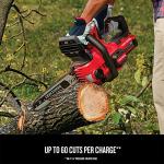 CRAFTSMAN V20 Cordless 12-Inch Chainsaw and Battery