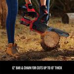 CRAFTSMAN V20 Cordless 12-Inch Chainsaw and Battery