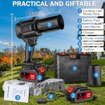 Cordless Electric Leaf Blower with 2 Batteries