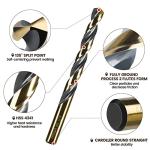 29-Piece High-Speed Steel Drill Bit Set