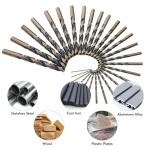 29-Piece High-Speed Steel Drill Bit Set
