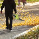 Cordless Leaf Blower with 2 Batteries and Charger