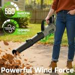 Cordless Leaf Blower with 2 Batteries and Charger