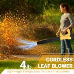 Cordless Leaf Blower 750CFM 200MPH with Batteries