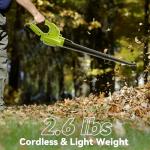 Cordless Leaf Blower with 2 Batteries and Charger