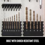 CRAFTSMAN 60-Piece Drill and Screwdriver Bit Set