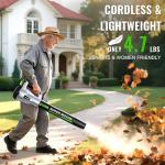 TOLOOC Cordless Leaf Blower with Dual Batteries