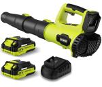 21V Cordless Electric Leaf Blower with Batteries