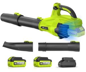 Cordless 21V Leaf Blower with 2 Batteries