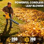 LITEKON Cordless Leaf Blower with 2 Batteries