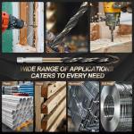 13-Piece Hex Shank Drill Bit Set