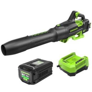 Greenworks 80V Brushless Cordless Leaf Blower